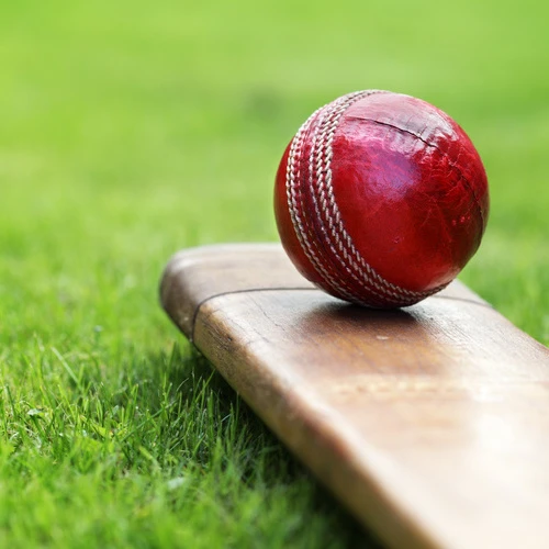 Cricket Club (1)