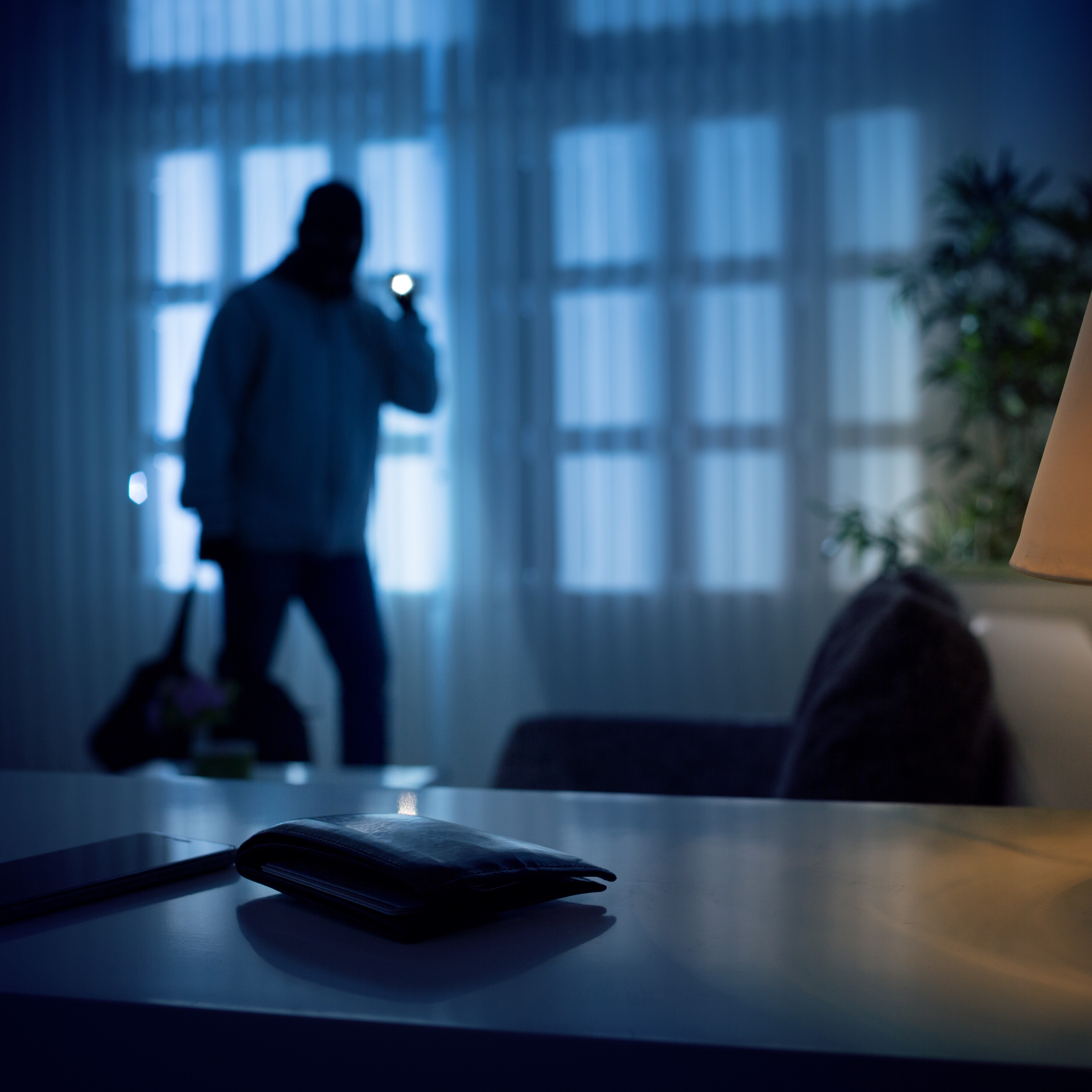 Dark Night Burglaries