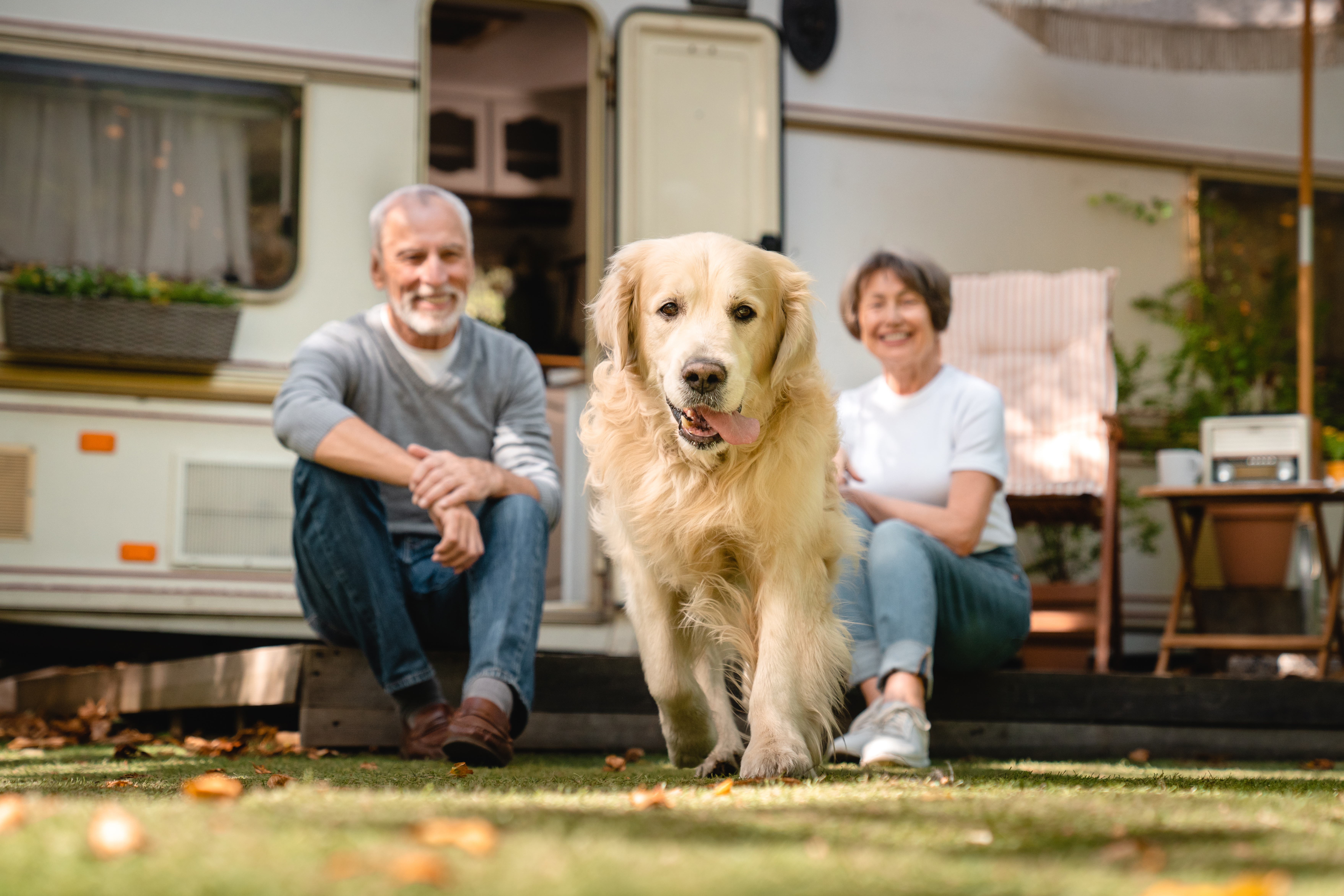dog with owners outside caravan
