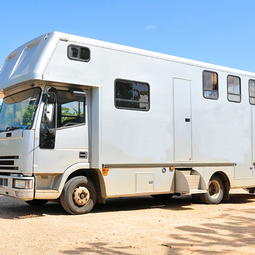 P Horsebox (1)