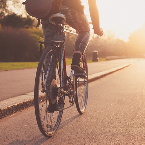 Pl Bicycle (1)