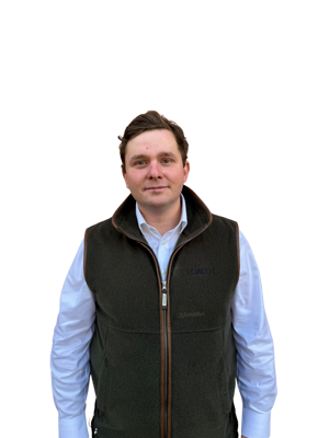 Harry Findlay