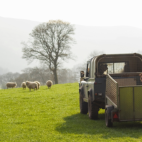 R Rural Motor